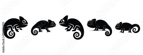 chill chameleon silhouette icon set. Animals icons collection. Animal silhouette icons. Isolated on White background