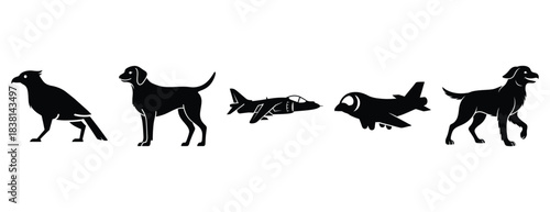 happy harrier silhouette icon set. Animals icons collection. Animal silhouette icons. Isolated on White background