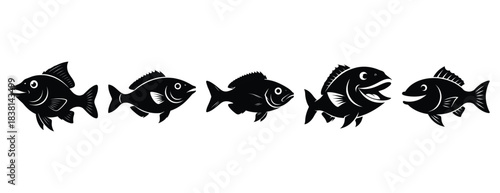 happy hawkfish silhouette icon set. Animals icons collection. Animal silhouette icons. Isolated on White background