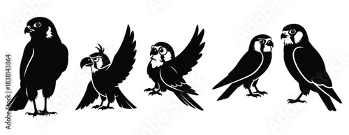 kooky kestrel silhouette icon set. Animals icons collection. Animal silhouette icons. Isolated on White background