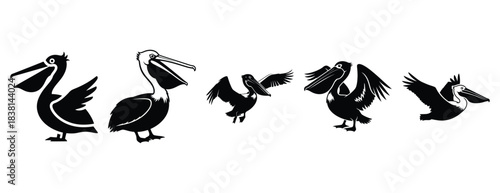 peppy pelican silhouette icon set. Animals icons collection. Animal silhouette icons. Isolated on White background