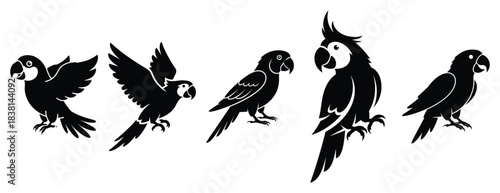 playful parrot silhouette icon set. Animals icons collection. Animal silhouette icons. Isolated on White background