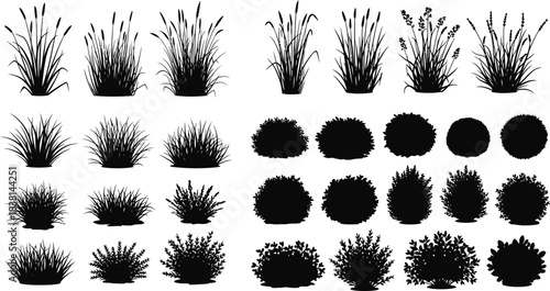 Collection of various black silhouette bushes and trees top view for landscape design