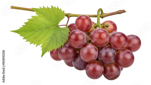 Photography Isolated bunch of red grapes with leaves, vibrant color, fresh and delicious aut