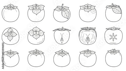 Monochrome illustration showcases a variety of persimmon drawings in simple line art style