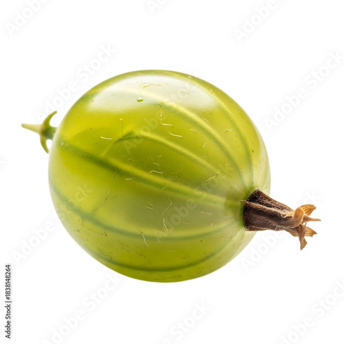 Fresh green gooseberry fruit single object macro view on transparent background