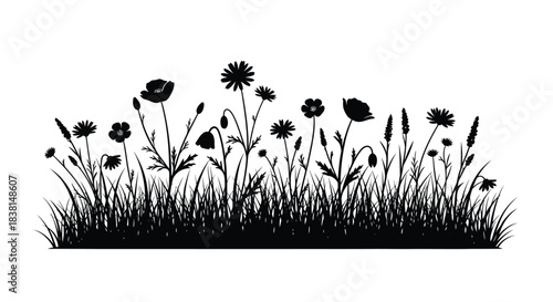 Silhouette of wild meadow flowers and tall grass creates a striking black and white natural border design