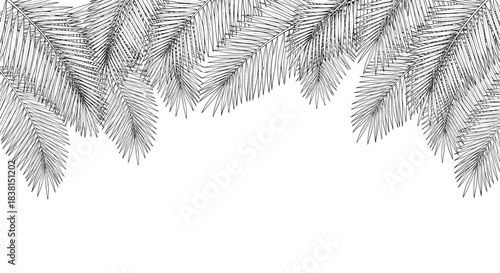 Black and white etched evergreen branches forming a decorative top border with ample white copy space below, perfect for winter or holiday designs.