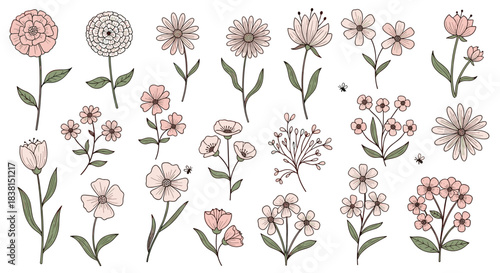 A charming collection of delicate, hand-drawn floral illustrations in soft pink and green hues, perfect for vintage-inspired designs.