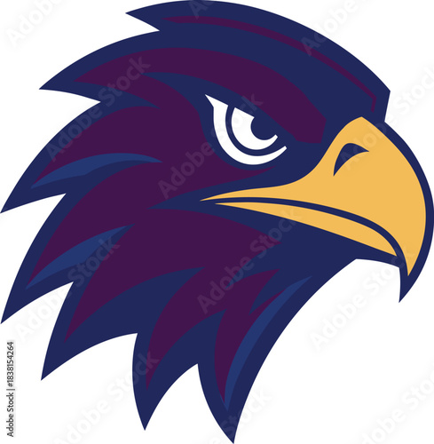 Sharp vector hawk head with strong beak and purple blue feathers bird animal vector illustration EPS file download.
