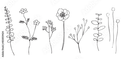 手描きの花・植物イラストセット・線画01
