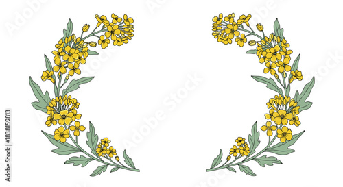 Stylized illustration of vibrant yellow rapeseed flowers and green leaves arranged in an elegant crescent frame on a white background.