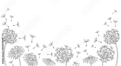 Black and white line art illustration of dandelions and their seeds blowing in the wind, symbolizing lightness and freedom.