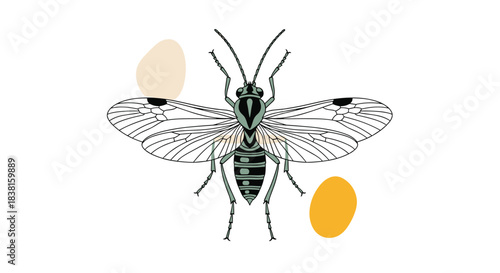 Top-down view of a stylized wasp-like insect illustration in black and teal with delicate wings, accented by abstract beige and yellow shapes on white.