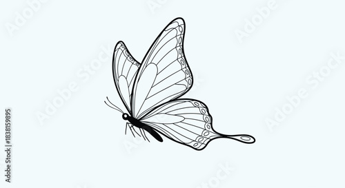 A graceful black and white line art illustration of a butterfly with intricate wing patterns, poised in flight against a clean, light blue background.