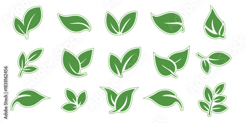 Green leaf natural icon set with eco bio labels and botanical elements on transparent background