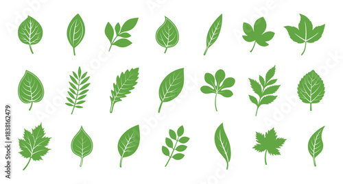 Organic green leaves leaf collection for eco labels, natural badges, and botanical icon design transparent png set