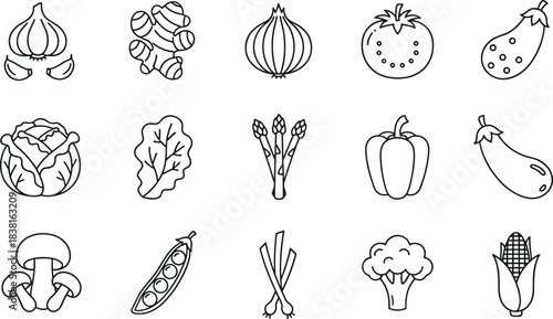 Hand drawn vegetable line icons set featuring onion, garlic, tomato, pepper, cabbage, broccoli, asparagus, mushroom, corn, peas isolated vector illustration