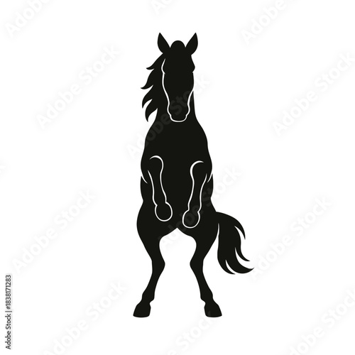  a black horse stallion full body design