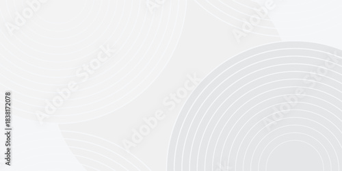 White geometric abstract background overlap layer on bright space with lines effect decoration. Modern graphic design element circles style concept for banner.