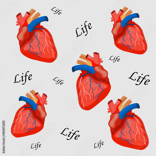 Seamless pattern featuring realistic anatomical illustrations of the human heart and the calligraphic word "Life" on a light gray background, perfect for medical and biological design.