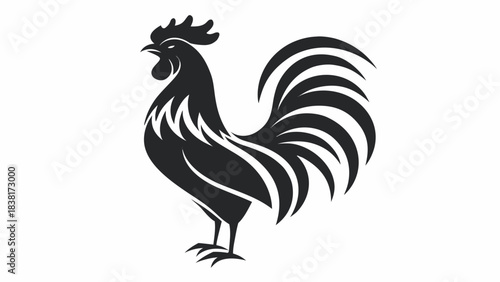 rooster vector illustration