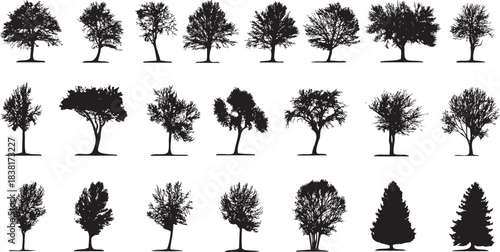 Diverse Collection of Tree Silhouettes in Black and White