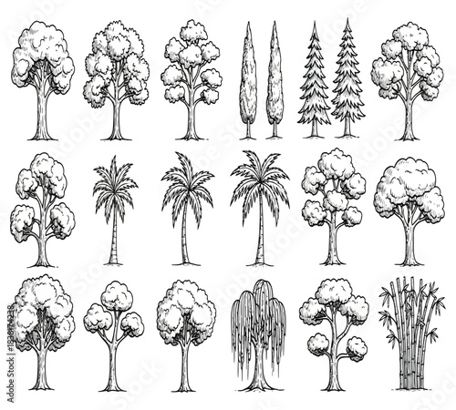 vx (13).Collection of various tree illustrations