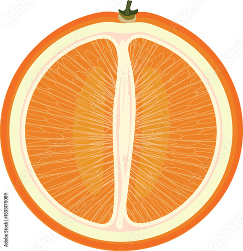 Half an orange fruit isolated on white background	