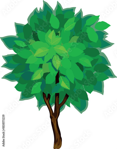 Abstract deciduous tree with green crown in cartoon style isolated on white background	