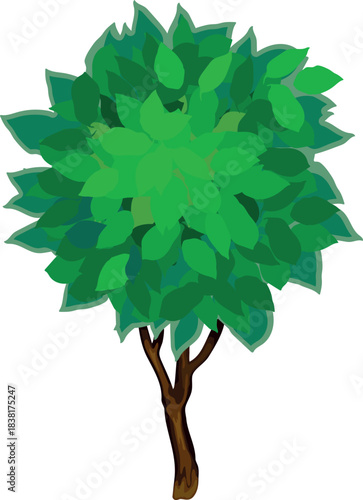 Abstract deciduous tree with green crown in cartoon style isolated on white background	