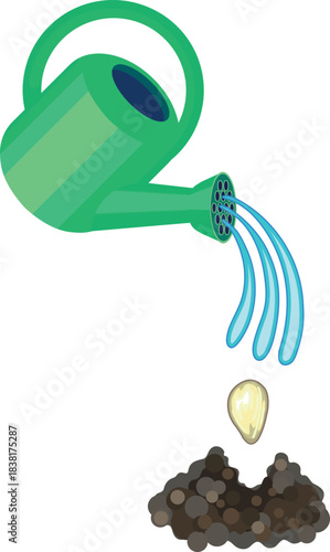 Green watering can with pouring water and seed isolated on white background. Planting a seed in the ground	