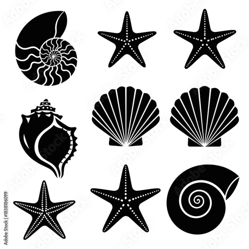 Seashell and Starfish Silhouette Set – Marine Ocean Beach Vector Collection