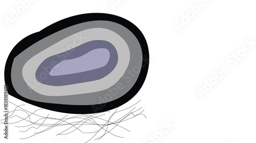 WebA Stylized Rendering of Concentered Ellipses in Dark, Muted Tones of Black, Grey, and Lavender.