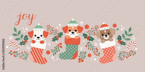 Festive puppies with winter accessories and stockings bring holiday joy