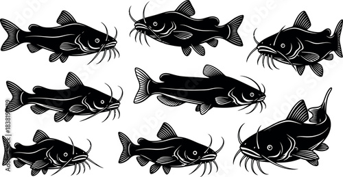 Black and white illustration of several catfish swimming in a repeating pattern