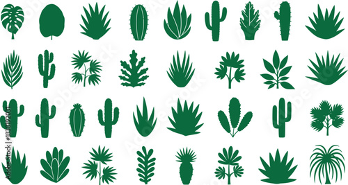 Collection of various green cacti and succulent plants in a repeating pattern