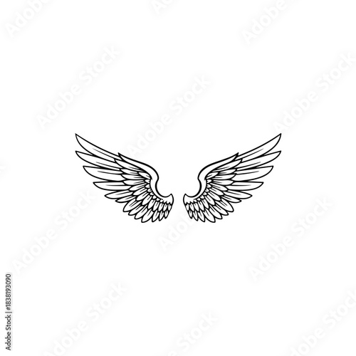 Detailed black and white illustration of a pair of feathered angel wings, spread wide against a clean white background isolated on transparent background