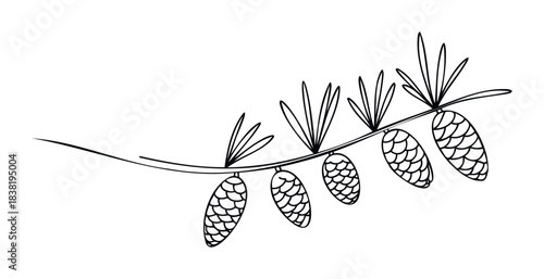 A simple line drawing of a pine branch with cones and needles, perfect for winter or nature themed projects and seasonal greetings.