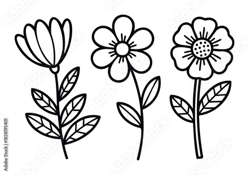 Collection of simple line drawing floral elements featuring distinct flower types and leaves, perfect for graphic usage in naturethemed projects and botanical designs.