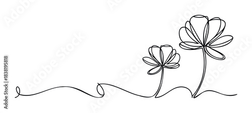 Delicate line drawing of two blossoming flowers connected by a continuous flowing line, perfect for elegant floral backgrounds and organic themes.