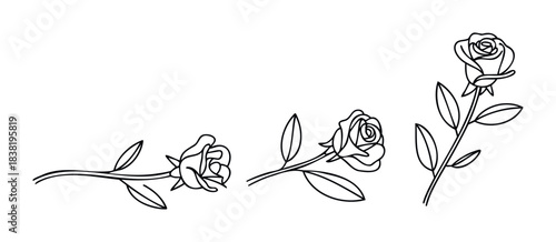 Collection of delicate line art roses with stems and leaves in varying orientations for floral arrangements and romantic compositions.