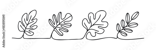 Minimalist line drawing of diverse oak leaves on a continuous flowing stem, perfect for nature themed invitations, organic branding, or botanical web graphics.