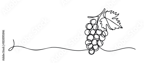 Minimalist single line drawing of a grape bunch with a leaf and a flowing vine for organic food and wine themes