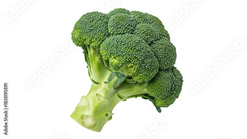 Fresh green broccoli floret isolated PNG, healthy vegetable for cooking and salads on transparent background