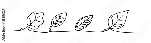 Minimalist line drawing of four connected leaves, representing nature and growth, perfect for organic branding and seasonal themes.