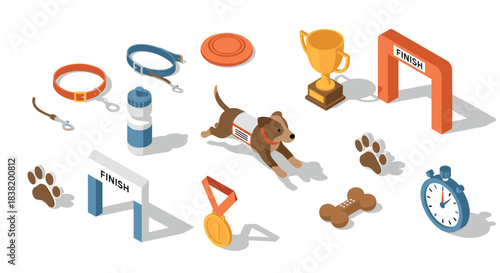 Isometric dog agility course with trophy, stopwatch, and accessories