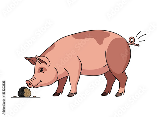 A pink pig with a curly tail sniffs a dark, round object on the ground.