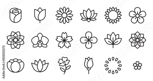 Set of black flower line icons in a minimalist style showing various blossoms like rose, lotus, tulip, and sunflower for web and graphic design elements