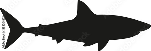 Black silhouette of a shark on a white background animal